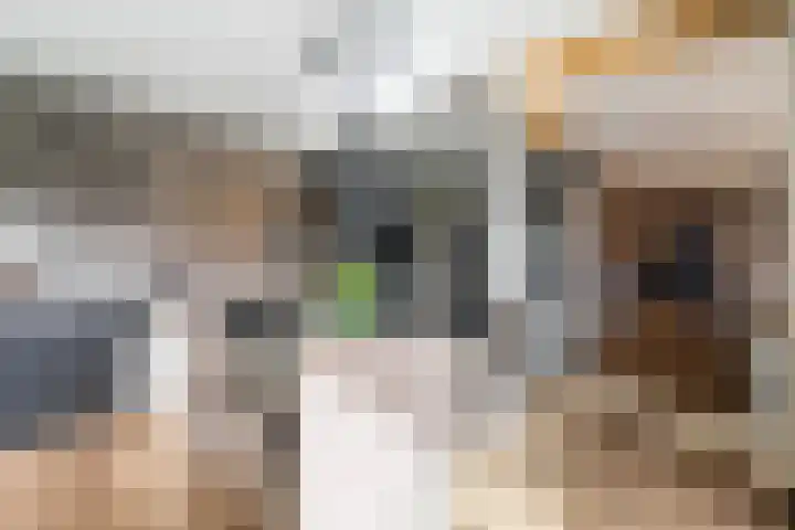 Dorpstraat 9 a Baexem thumbnail 18
