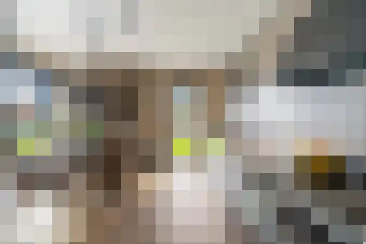Dorpstraat 9 a Baexem thumbnail 21