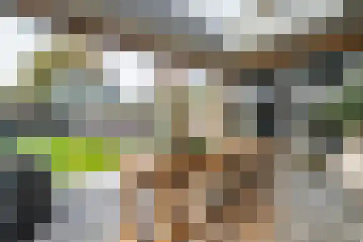 Dorpstraat 9 a Baexem thumbnail 23