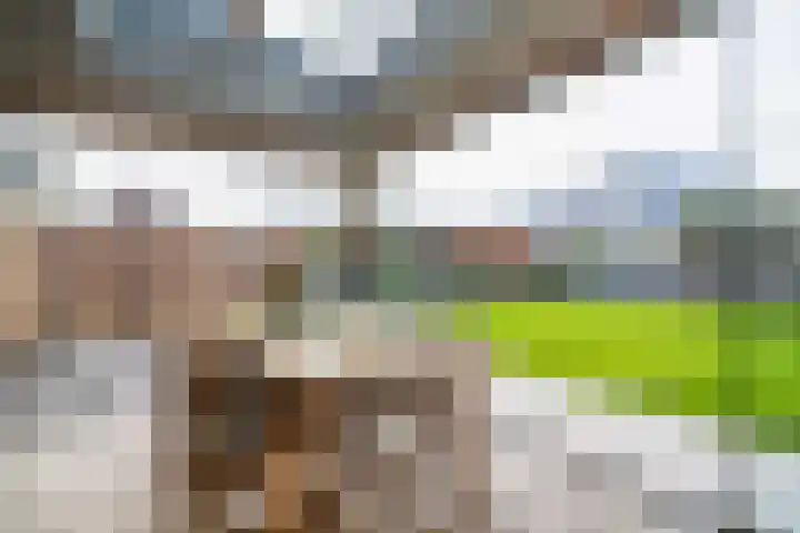 Dorpstraat 9 a Baexem thumbnail 24