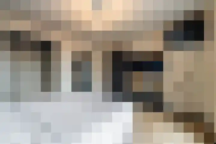 Dorpstraat 9 a Baexem thumbnail 26