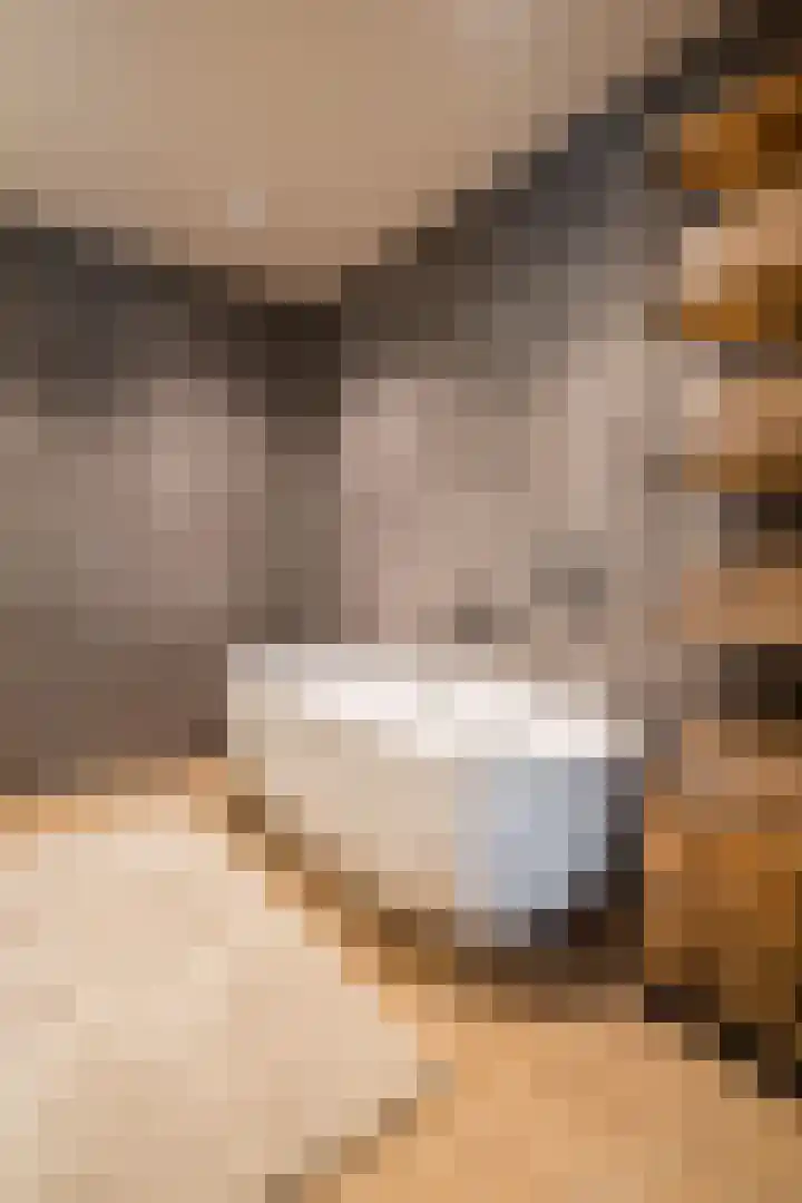Dorpstraat 9 a Baexem thumbnail 31