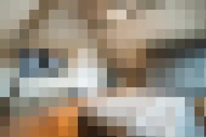 Dorpstraat 9 a Baexem thumbnail 38
