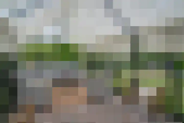 Dorpstraat 9 Groessen thumbnail 82