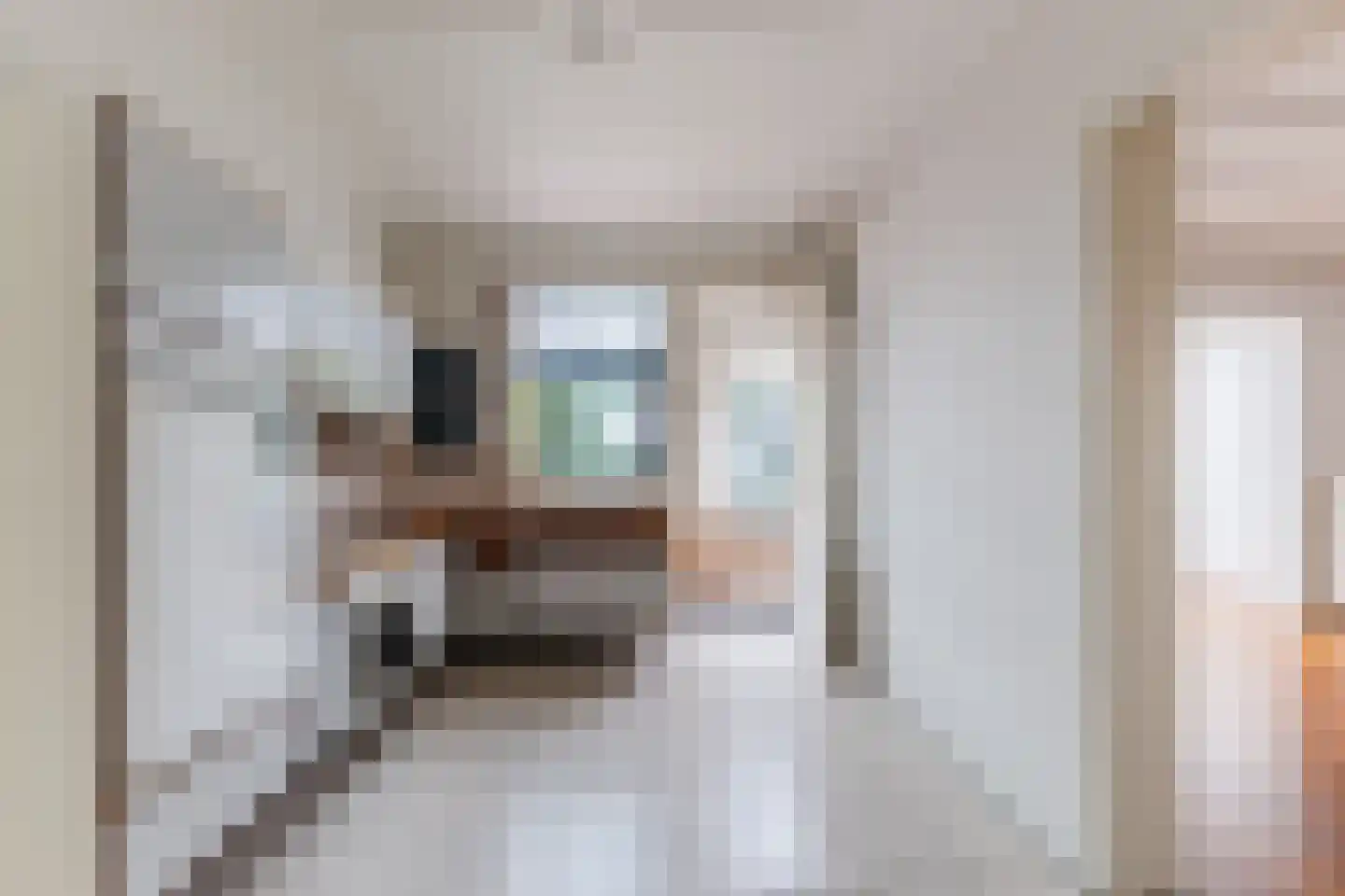 Dorpstraat 9 Leende thumbnail 15