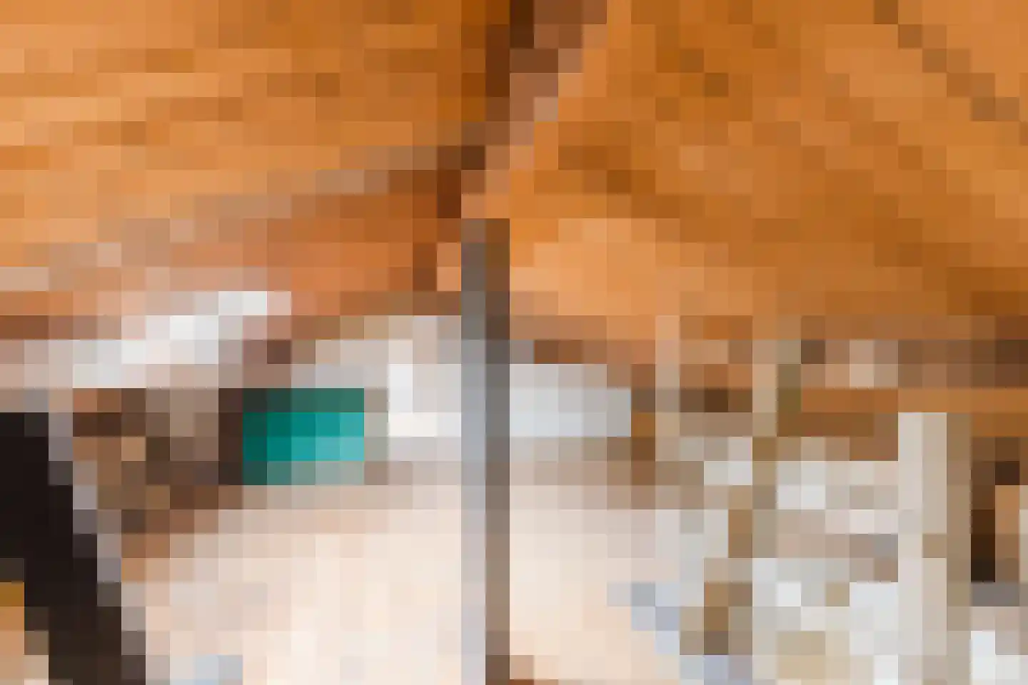 Dorpstraat 9 Leende thumbnail 35