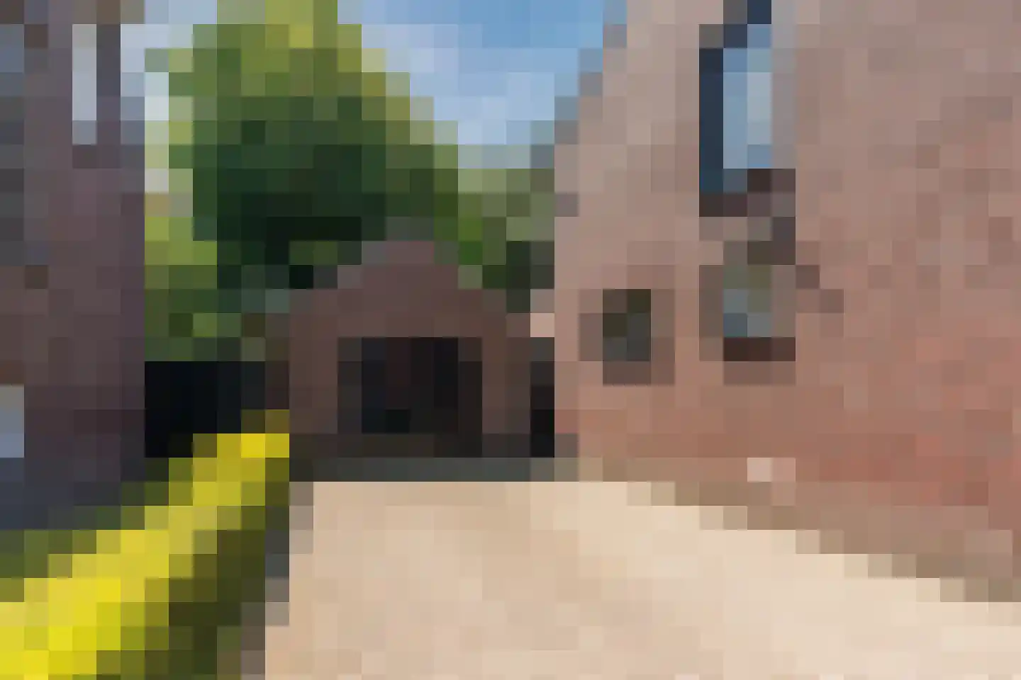 Dorpstraat 9 Leende thumbnail 38