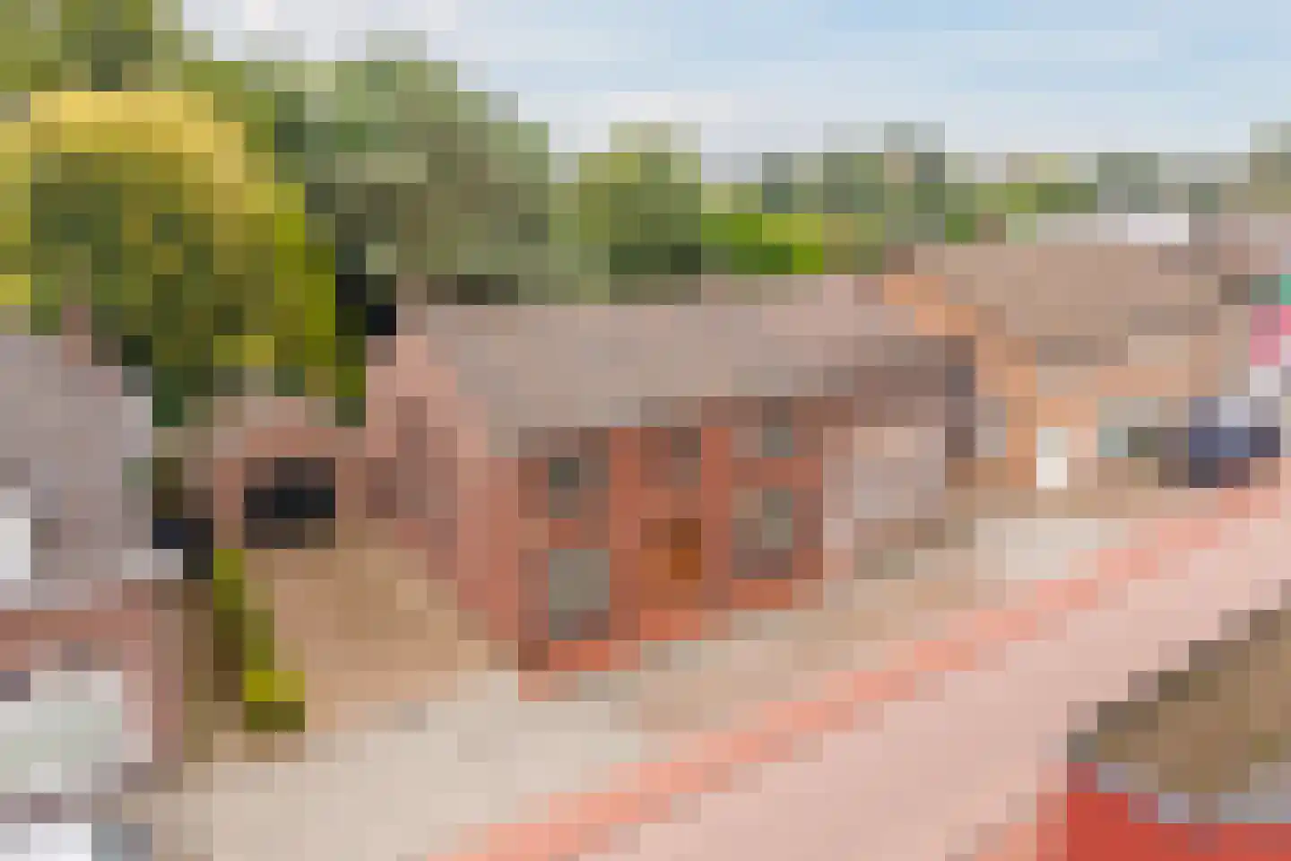 Dorpstraat 9 Leende thumbnail 59
