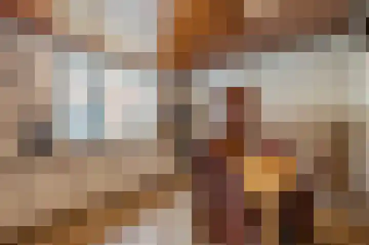 Dorpstraat 91 Echt thumbnail 17
