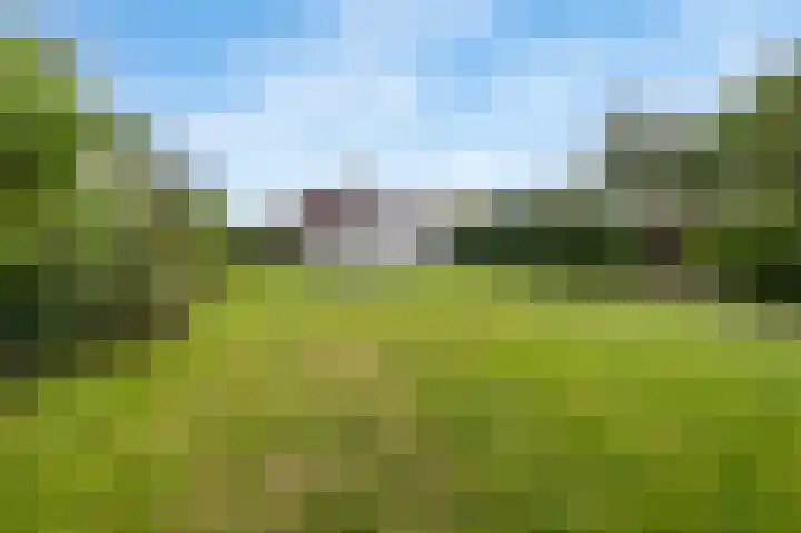 Dorpstraat 91 Echt thumbnail 4