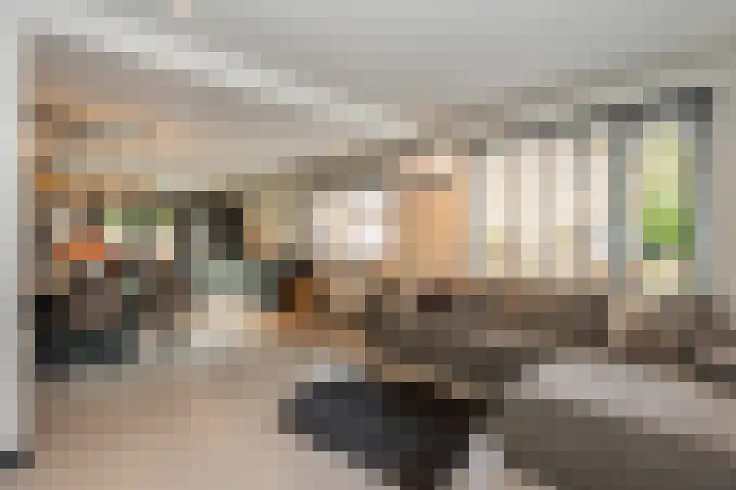 Dorpstraat 93 Buchten thumbnail 14