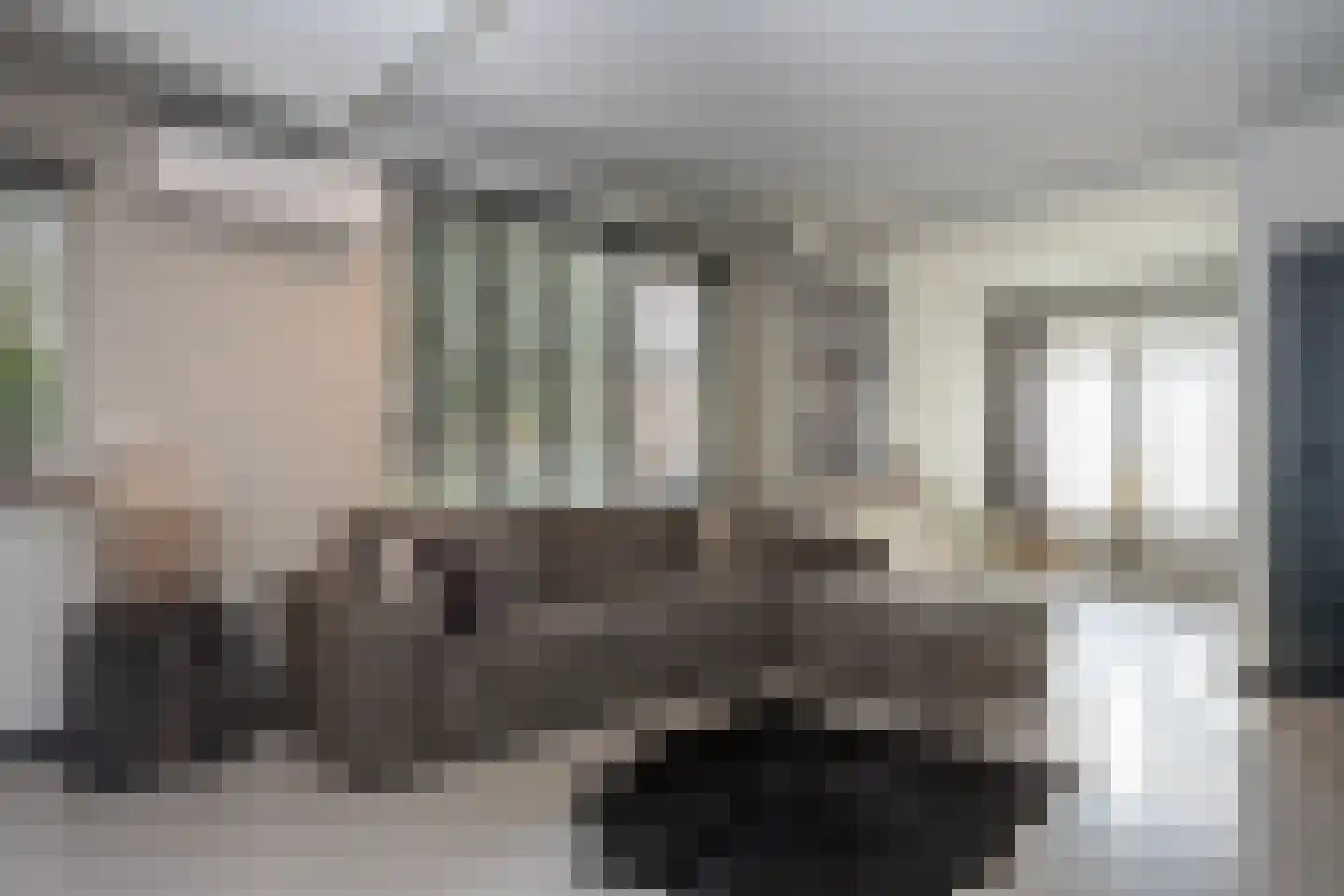 Dorpstraat 93 Buchten thumbnail 15