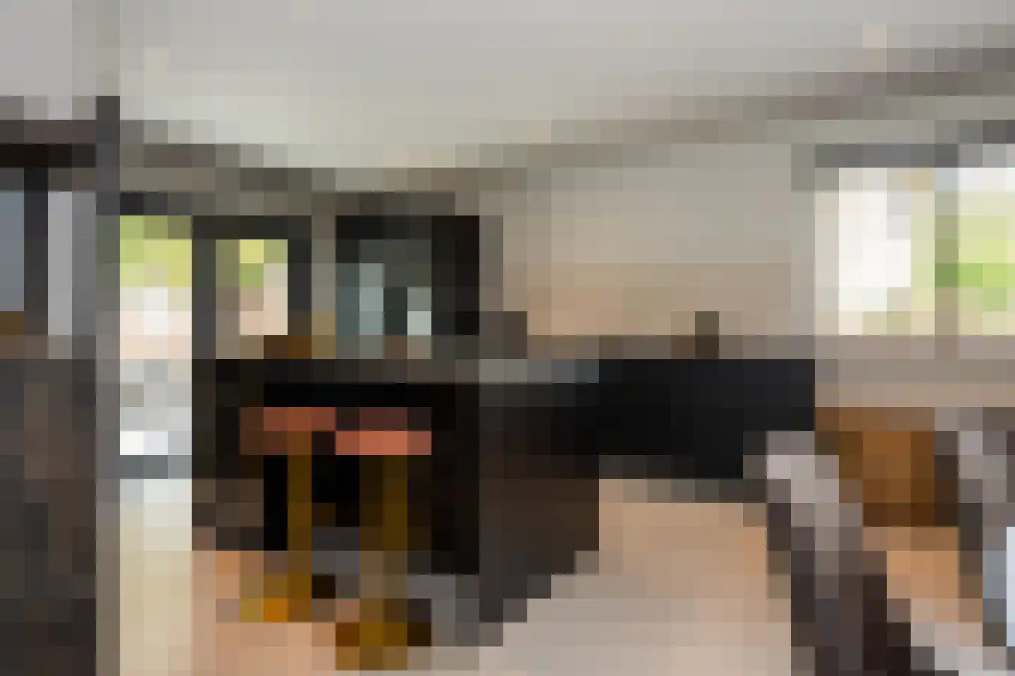 Dorpstraat 93 Buchten thumbnail 21