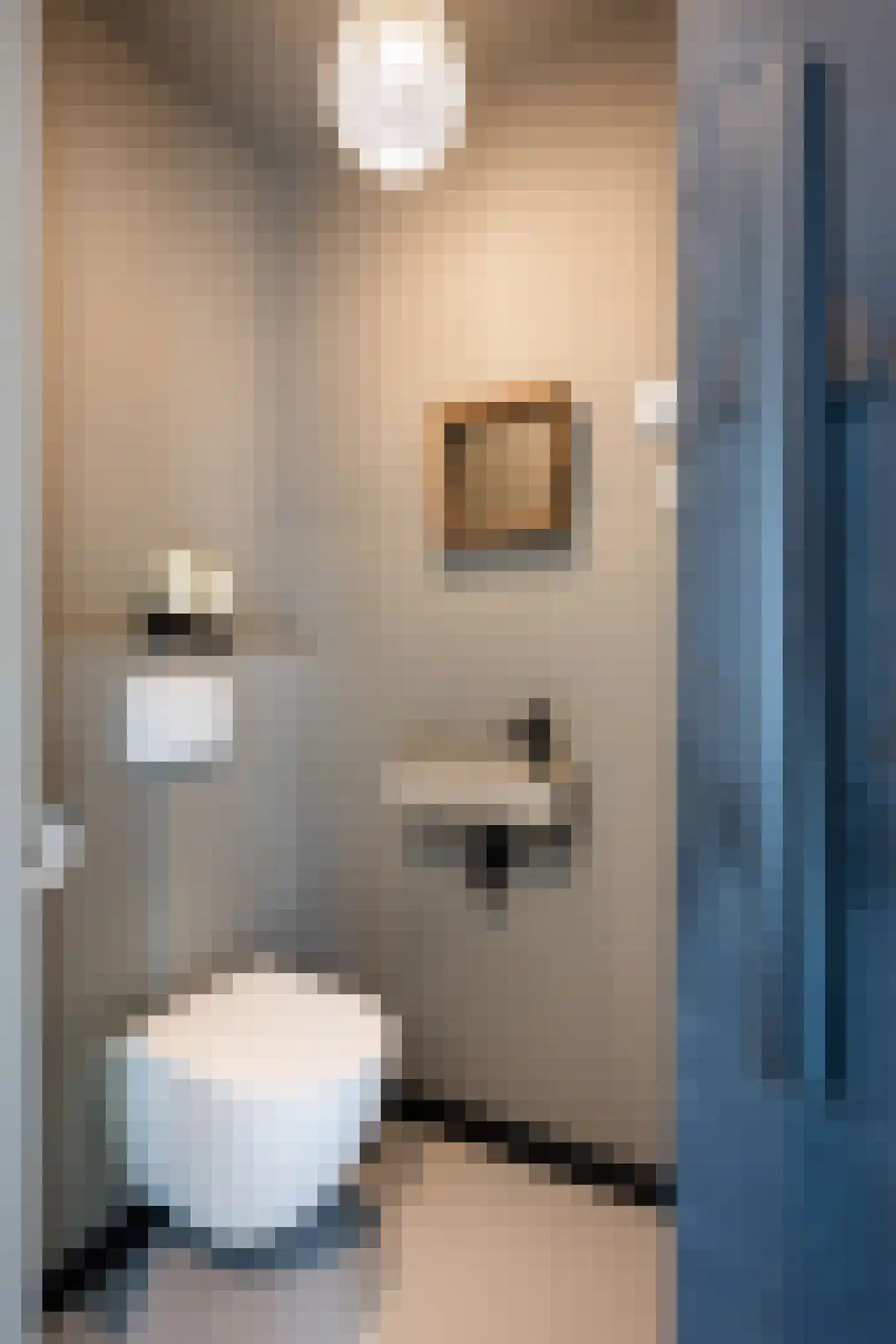 Dorpstraat 93 Buchten thumbnail 26