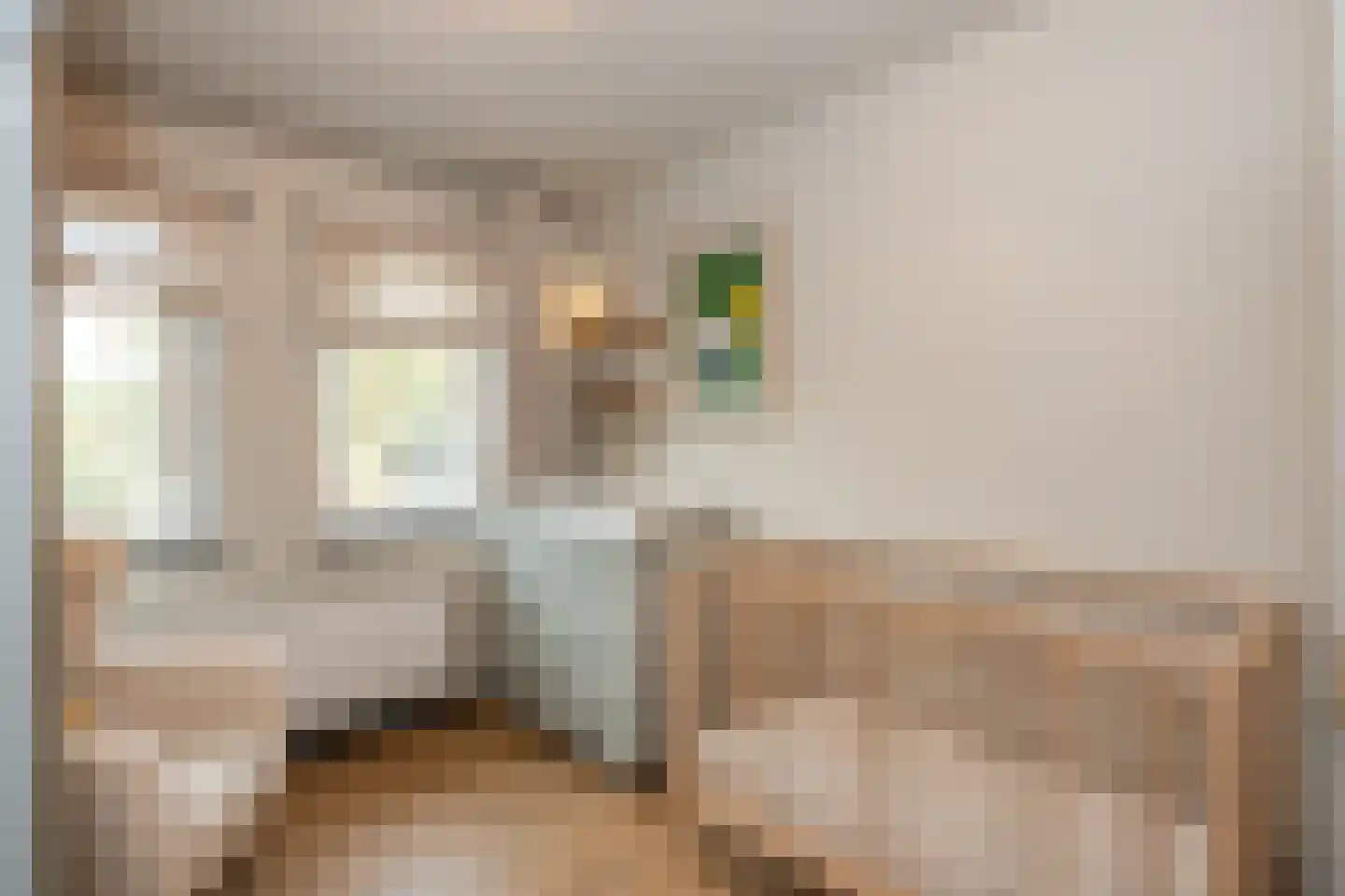 Dorpstraat 93 Buchten thumbnail 29