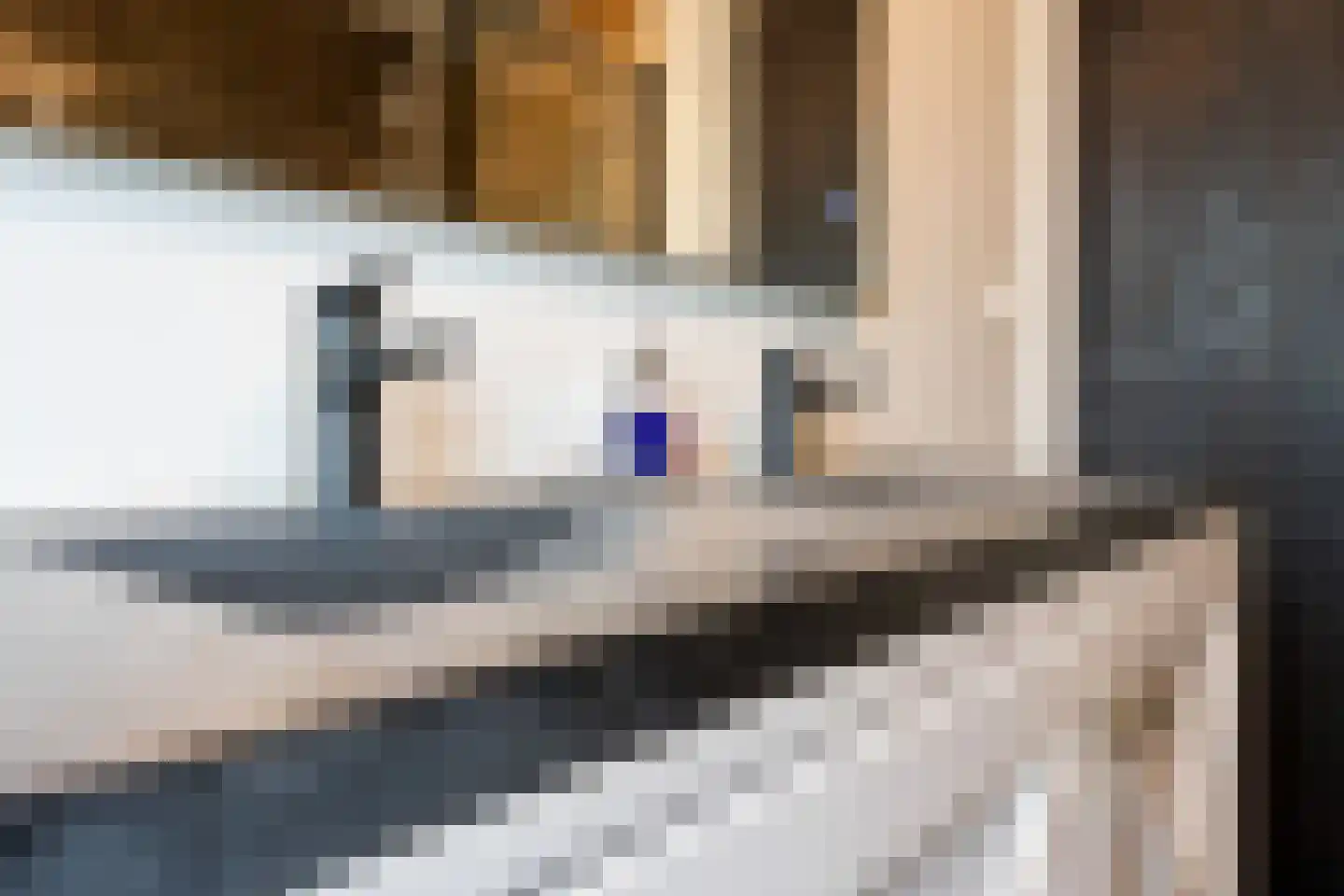 Dorpstraat 93 Buchten thumbnail 33
