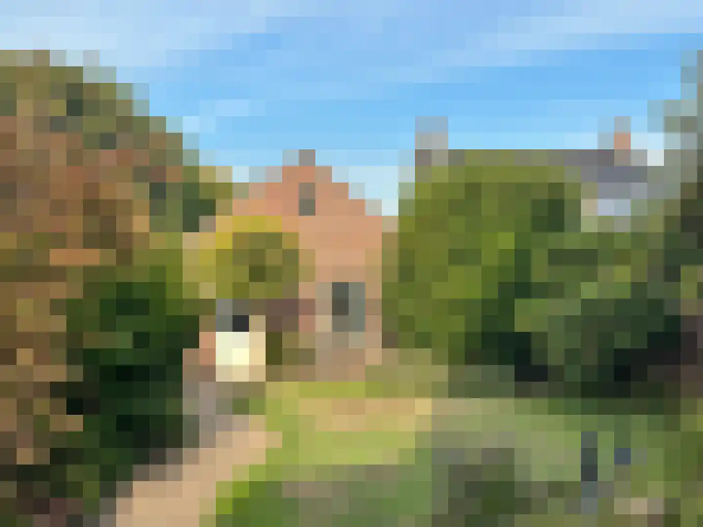Dorpstraat 94 a Leende thumbnail 34