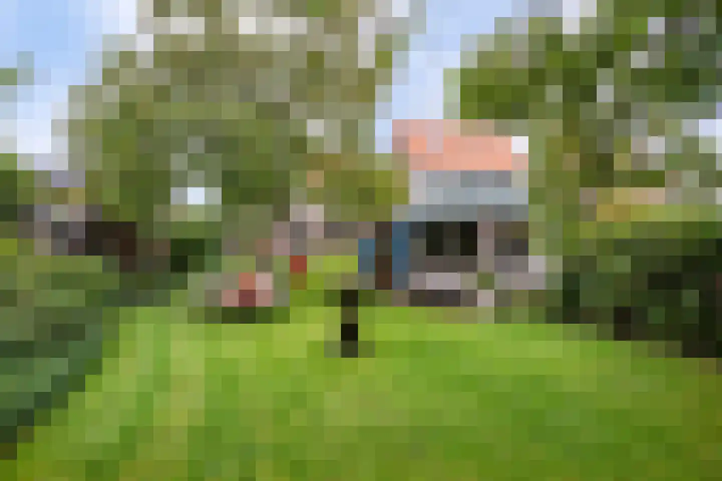 Dorpstraat 95 Luyksgestel thumbnail 28