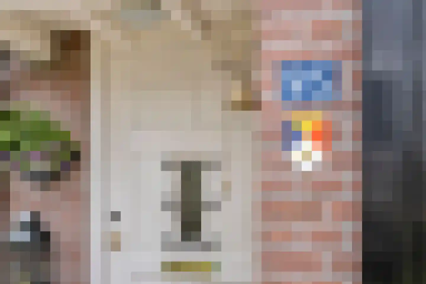Dorpstraat 95 Luyksgestel thumbnail 5