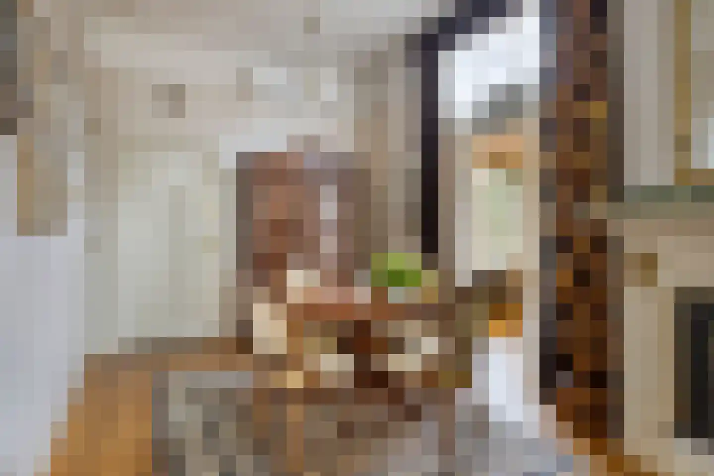 Dorpstraat 95 Luyksgestel thumbnail 8