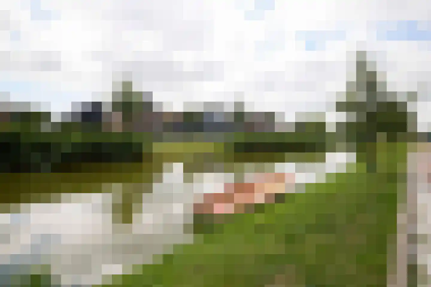 Dorpsvaart 13 De Goorn thumbnail 72