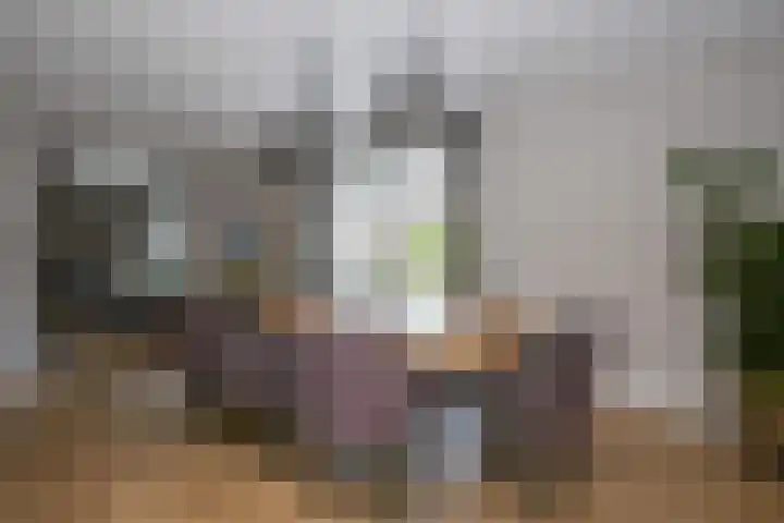 Dorpsvaart 9 De Goorn thumbnail 22
