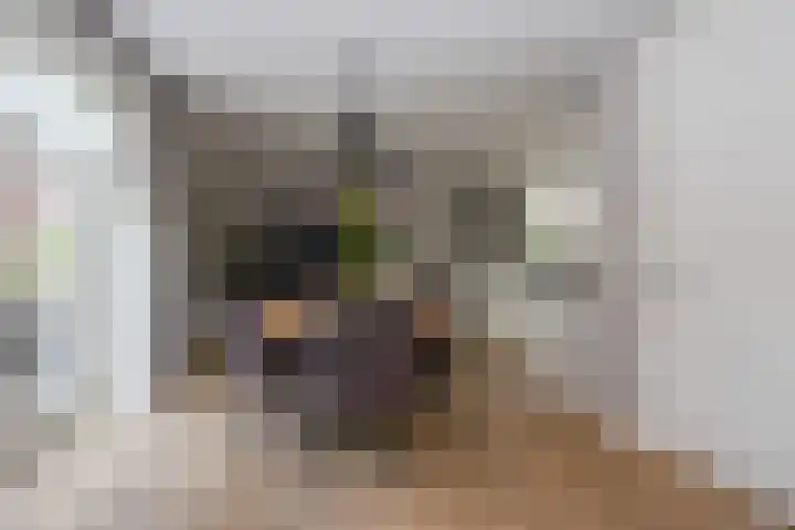Dorpsvaart 9 De Goorn thumbnail 23