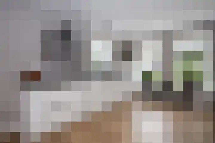 Dorpsvaart 9 De Goorn thumbnail 25