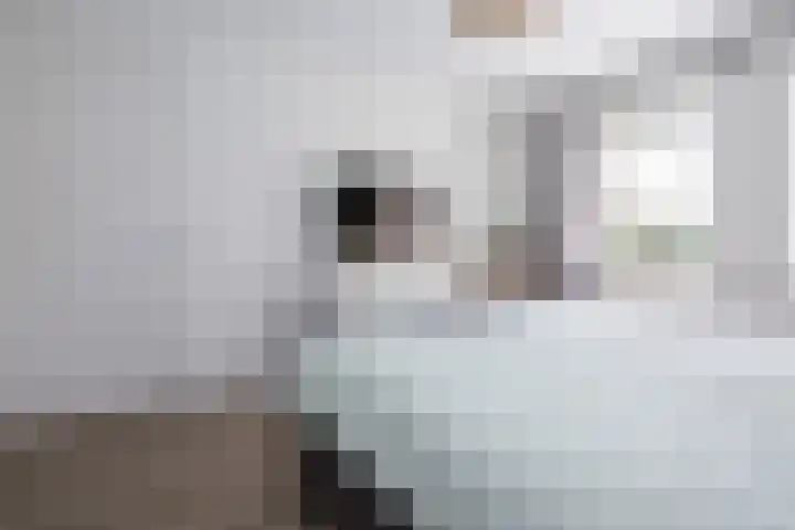 Dorpsvaart 9 De Goorn thumbnail 33