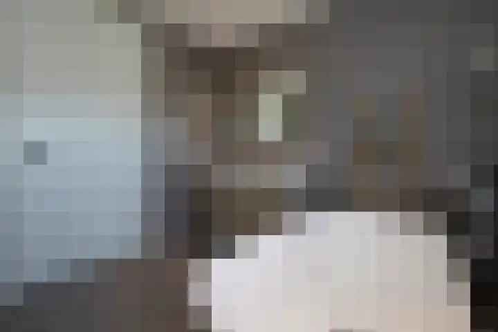 Dorpsvaart 9 De Goorn thumbnail 37