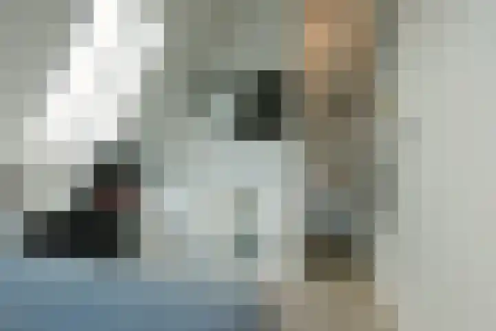 Dorpsvaart 9 De Goorn thumbnail 48