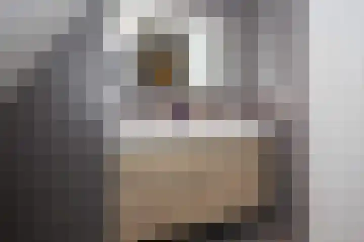 Dorpsvaart 9 De Goorn thumbnail 58