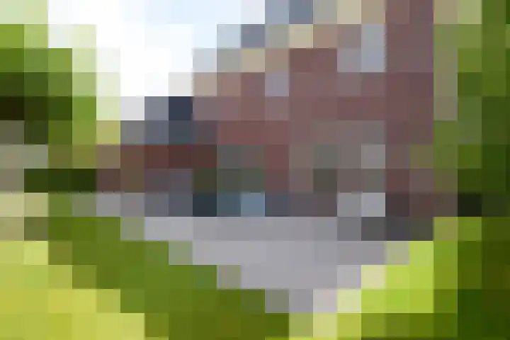 Dorpsvaart 9 De Goorn thumbnail 68