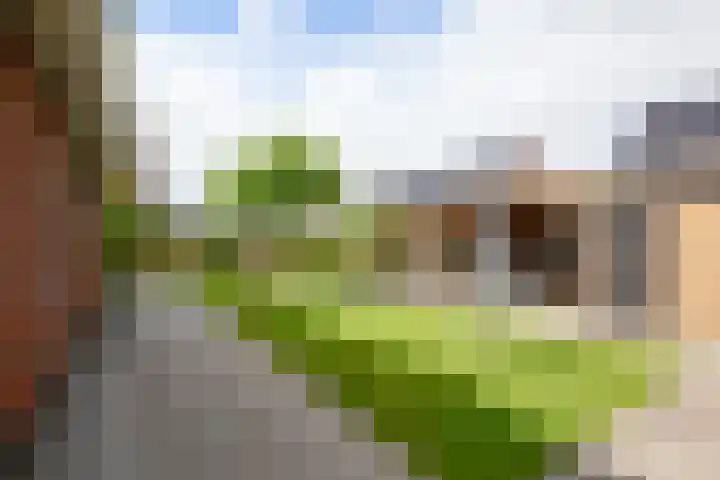 Dorpsvaart 9 De Goorn thumbnail 72