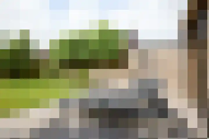 Dorpsvaart 9 De Goorn thumbnail 77