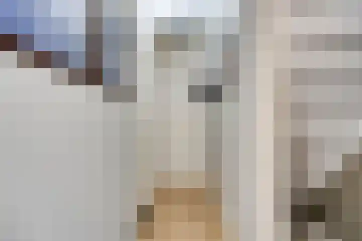 Dorpsveld 19 Berlicum thumbnail 18