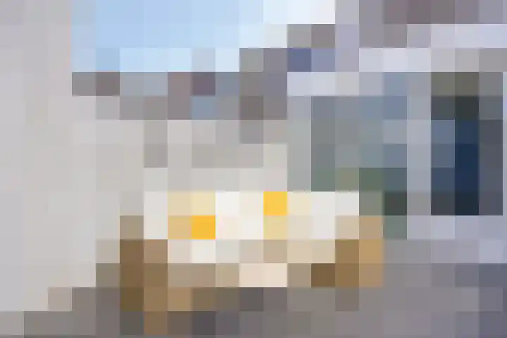 Dorpsveld 19 Berlicum thumbnail 33