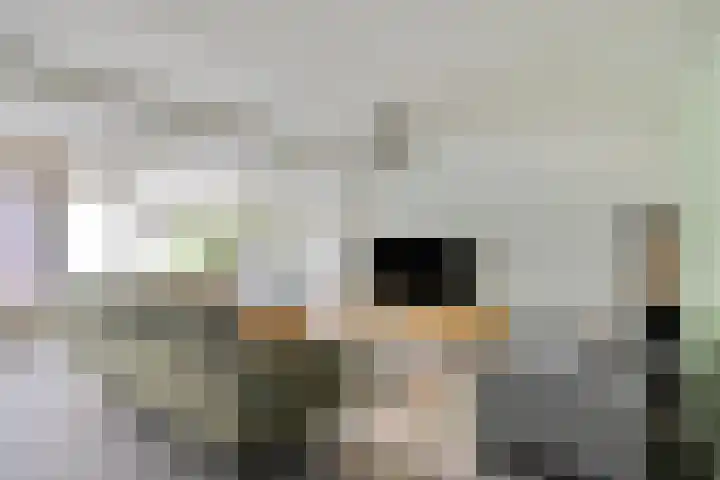 Dorpsveld 19 Berlicum thumbnail 39