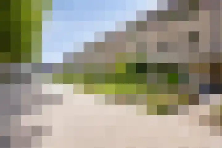 Dorpsveld 19 Berlicum thumbnail 41