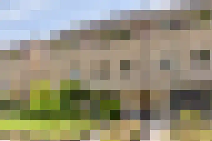 Dorpsveld 19 Berlicum thumbnail 42