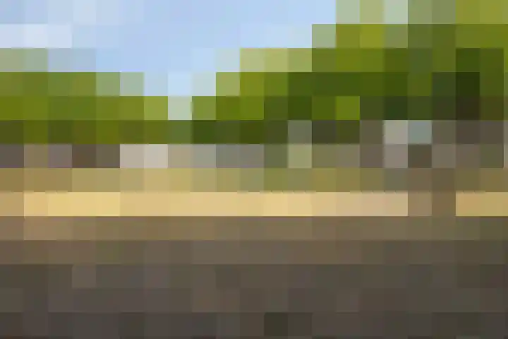 Dorpsveld 19 Berlicum thumbnail 43