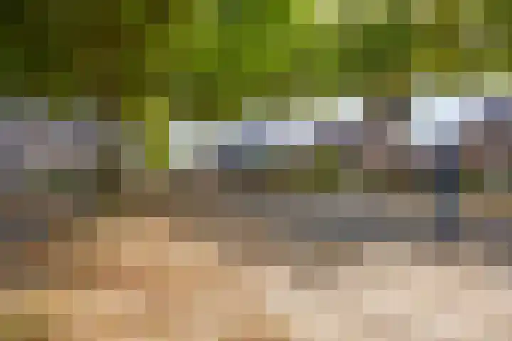 Dorpsveld 19 Berlicum thumbnail 44