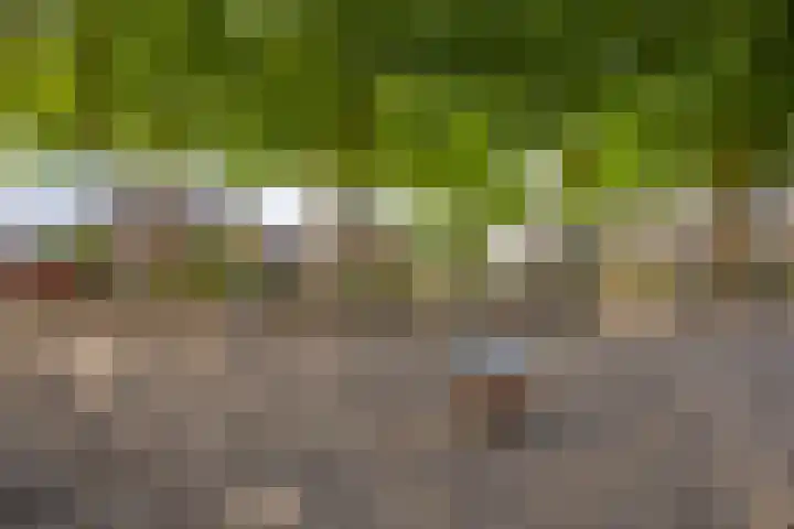 Dorpsveld 19 Berlicum thumbnail 45