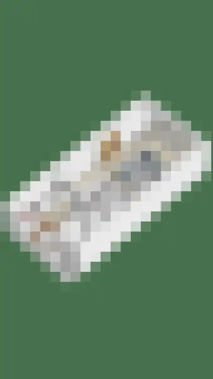 Dorpsveld 19 Berlicum thumbnail 47