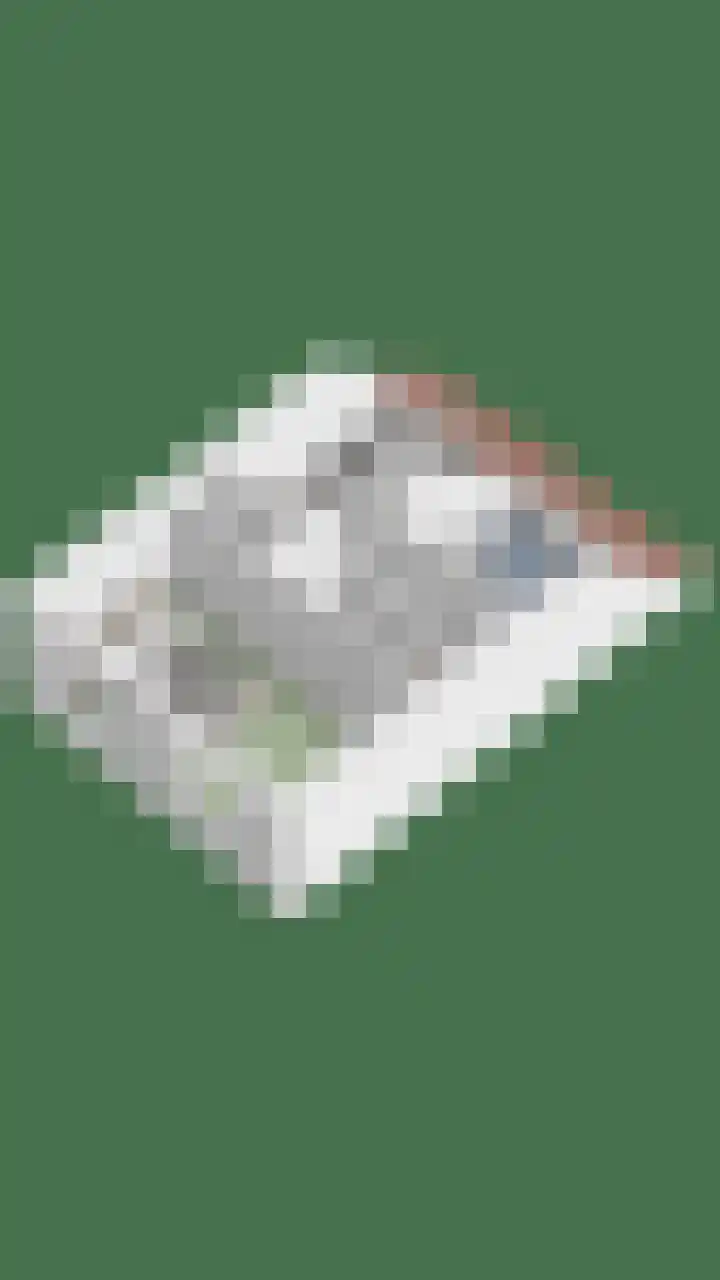 Dorpsveld 19 Berlicum thumbnail 48
