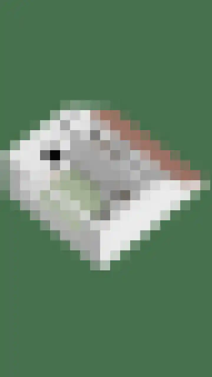 Dorpsveld 19 Berlicum thumbnail 49
