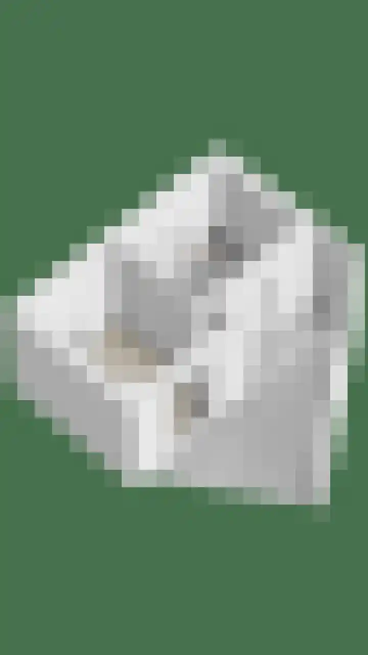 Dorpsveld 19 Berlicum thumbnail 51
