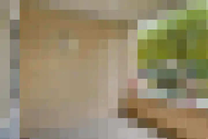 Dorpsveld 29 Berlicum thumbnail 16