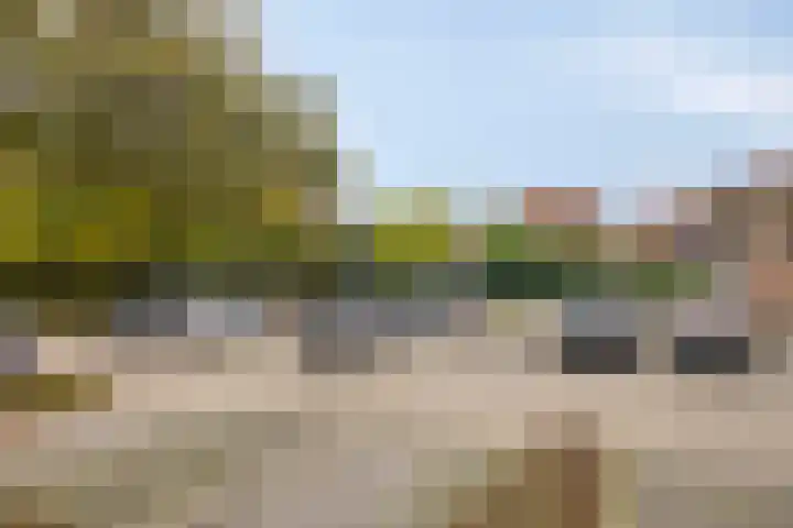 Dorpsveld 29 Berlicum thumbnail 19