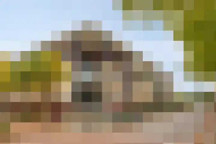 Dorpsveld 29 Berlicum thumbnail 22